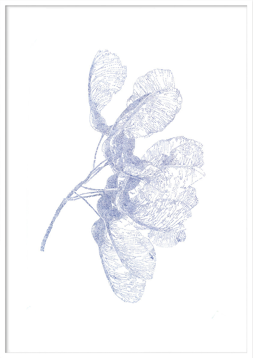 'Maple seed' Risoprint