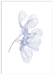 'Maple seed' Risoprint