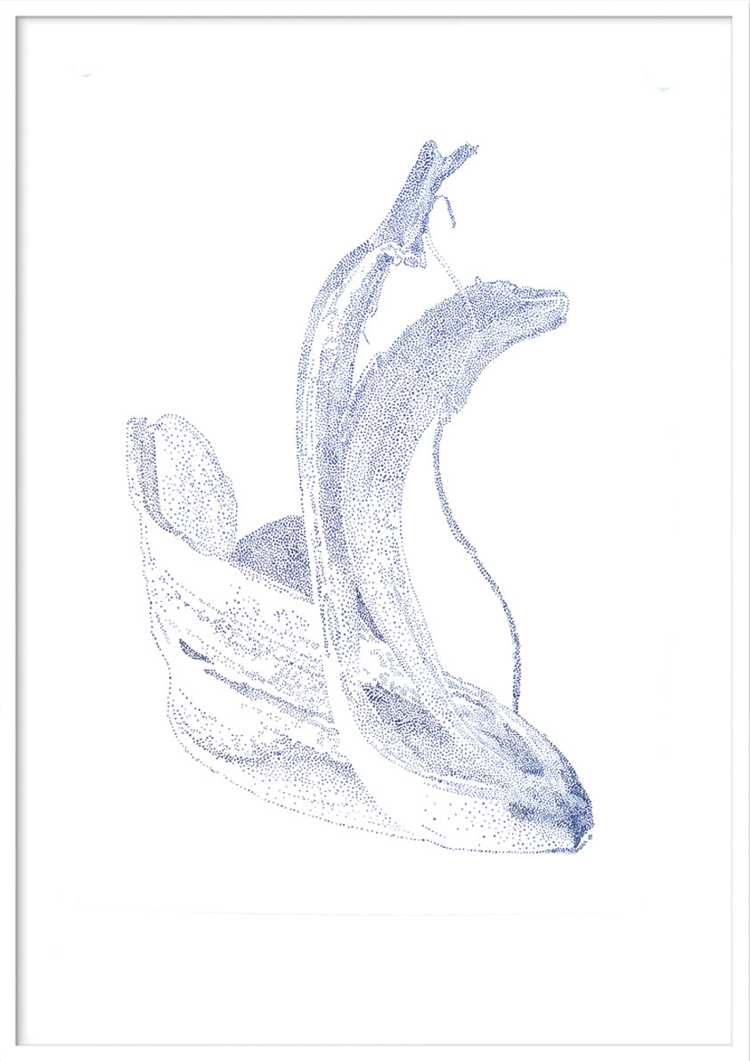 'Banana peel'