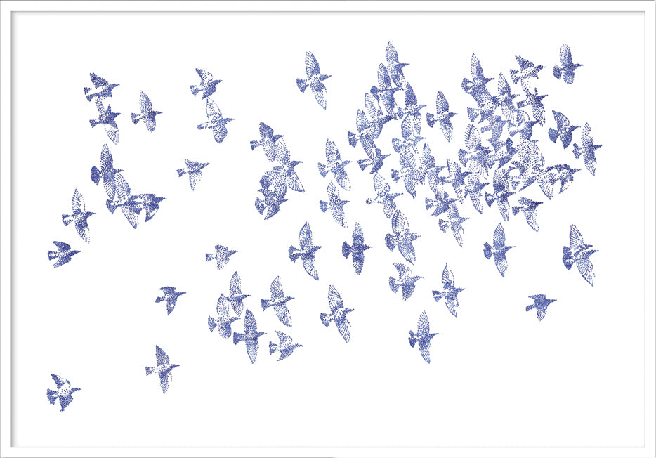 'Birds 01'
