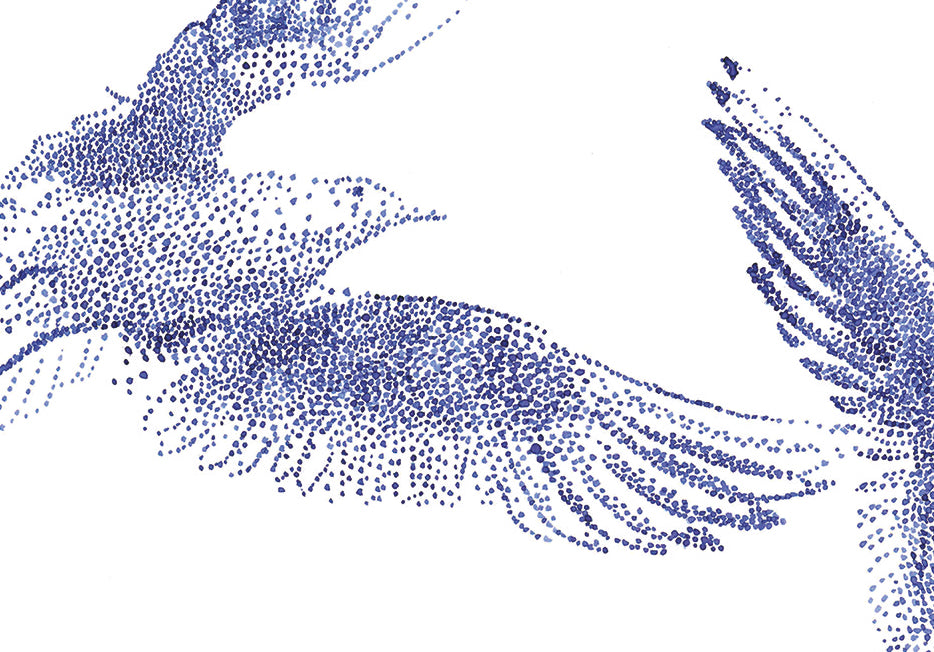 'Birds 02'