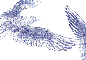 'Birds 02'