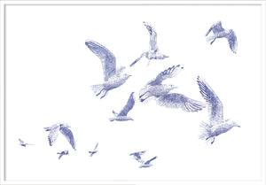 'Birds 02'