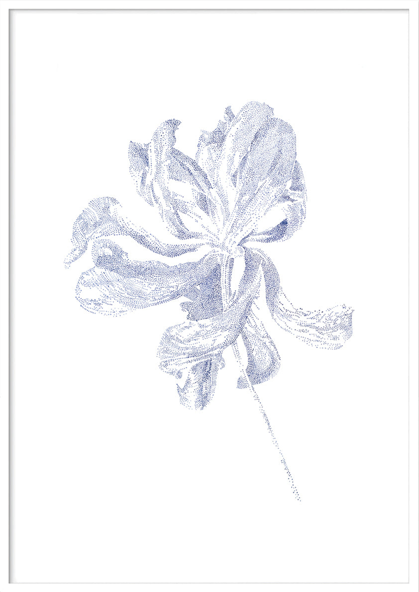 'Flower'