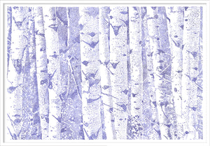 'Quiet forest'